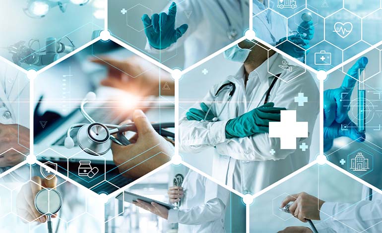 Vino Xarelro Raziskovanje čarovnosti in edinstvenosti bele vinske sorte