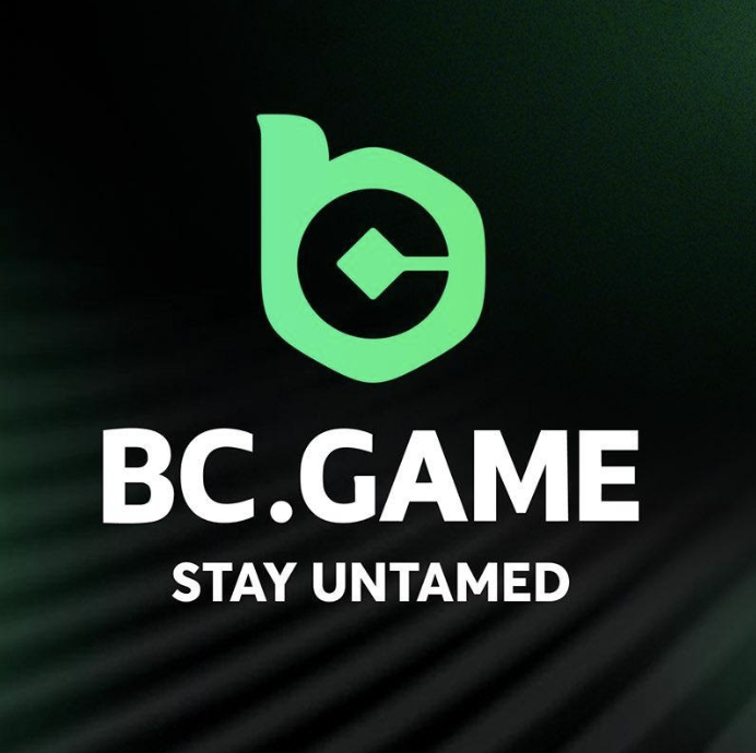 Exploring the Innovative Features of BC.Game Official Website